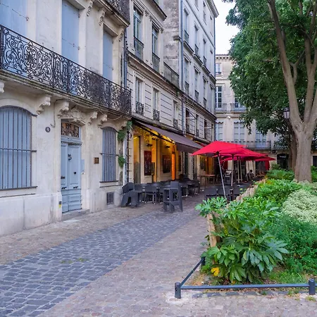 Le Platane De La Canourgue Montpellier